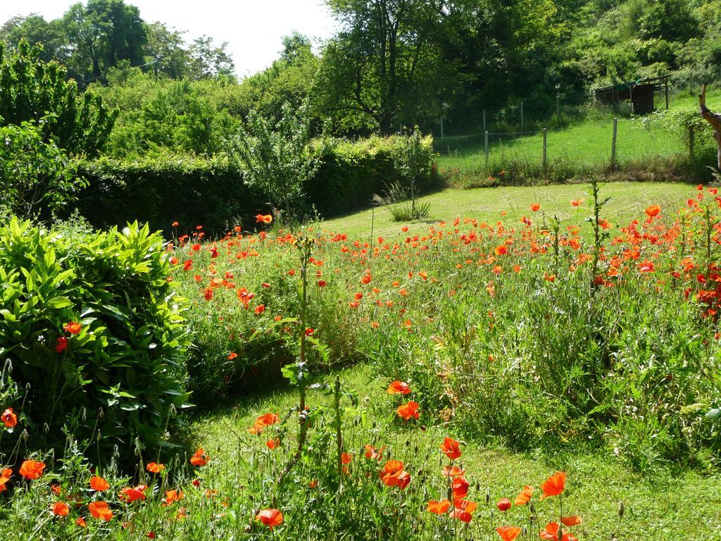 Maison D'Hotes Les Coquelicots Giverny Exterior foto